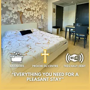 Reve Dore Equipe, Wifi, Unique Appartement Lourdes